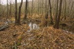 winterwanderung-2004-012